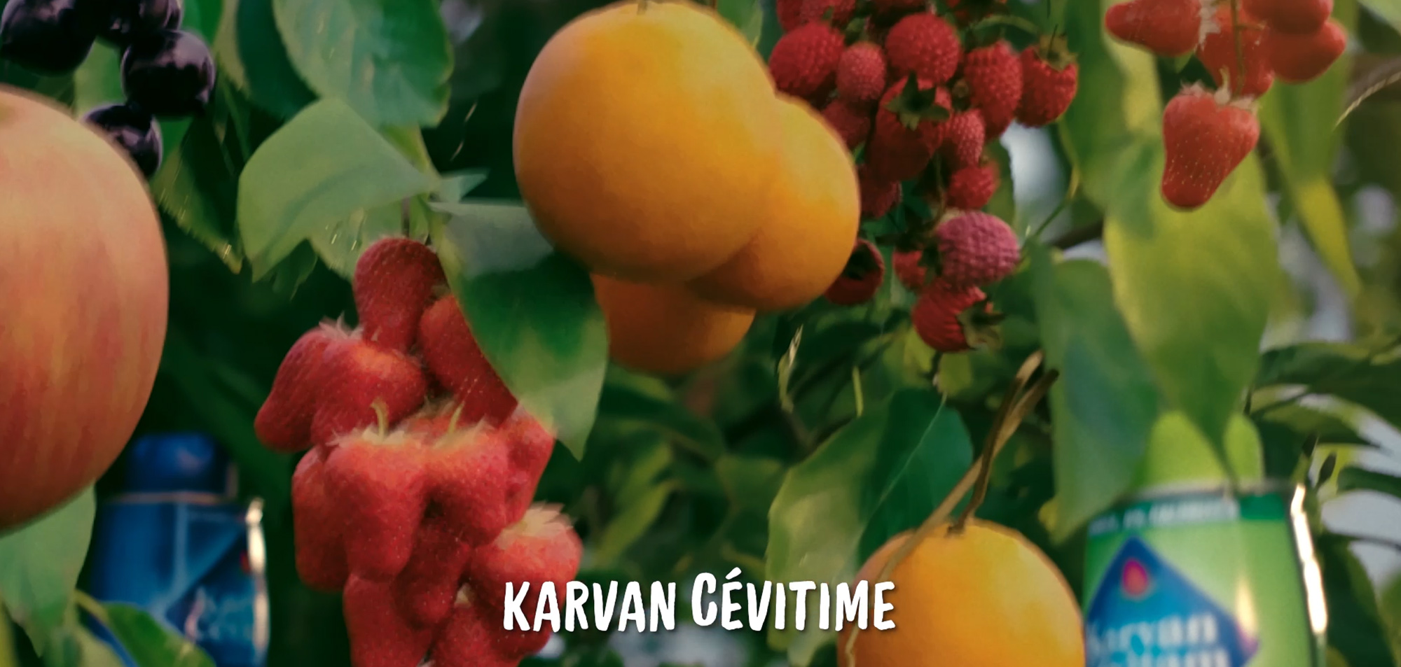 VFX, CGI & 3D Compositing projects for Karvan Cevitam | Karvan Cevitime