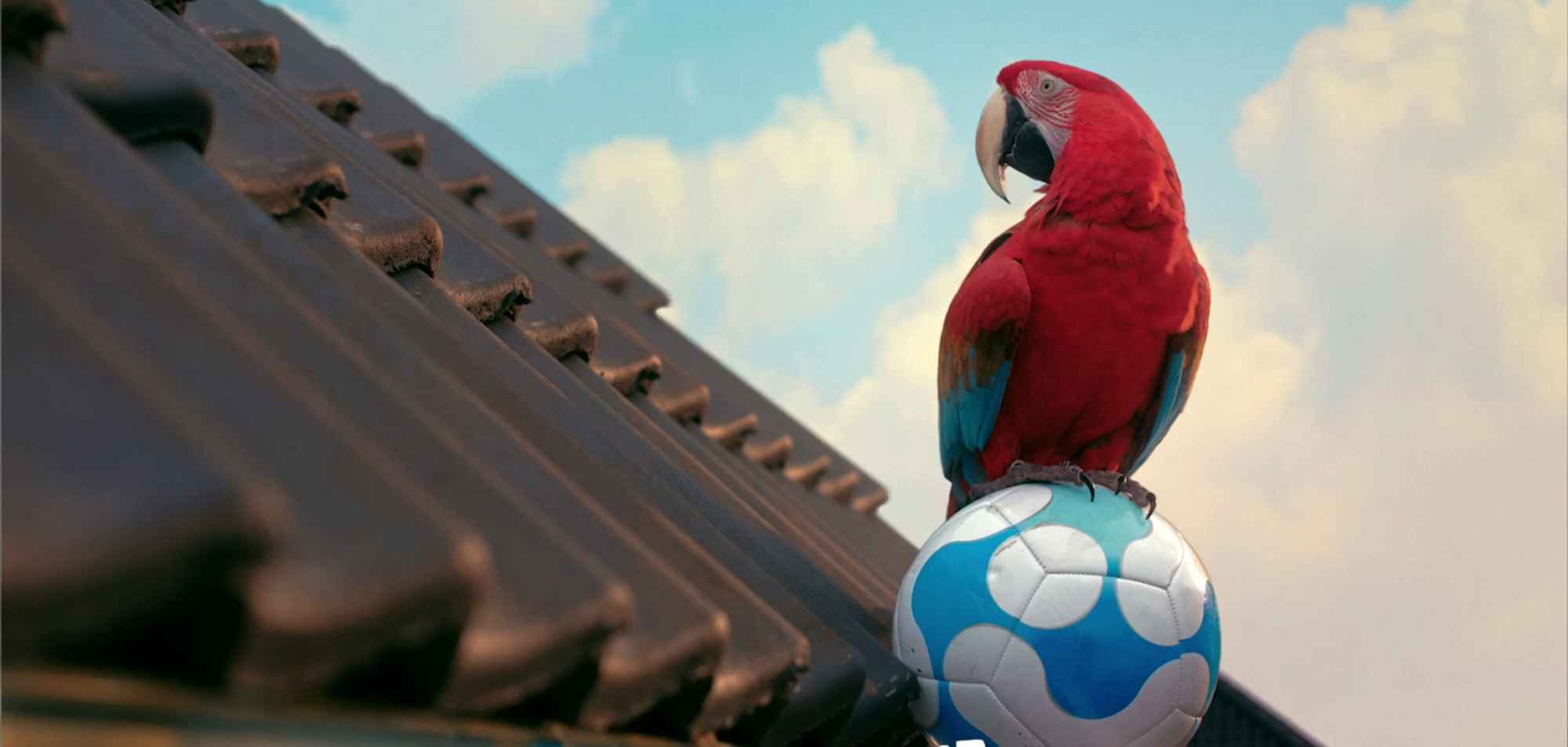 VFX, CGI & 3D Compositing projects for Karvan Cevitam | Karvan Cevitime